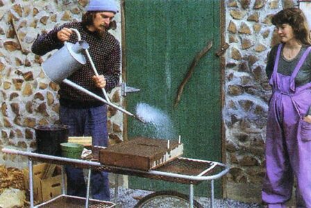 Seed Starting as MOTHER's Gardeners Do It Image